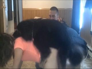 Witness a Ground-Breaking New Show: Watch a Dog F*ck Its Owner on Webcam, and Download Free Animal V