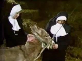 Mind-Blowing Animal Porn: Poor Horse, Beasty Nuns and Free Videos!