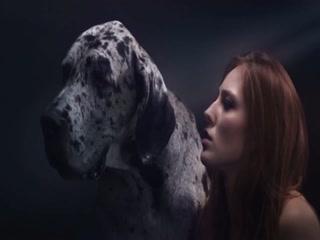 Unbelievable! Love Animals and Enjoy Dog Sex with This Free Porn Video!
