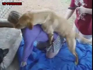 Stunningly Graphic: Watch High Quality Video of Golden Dog Trying to Fit Into Tiny Pussy Girl's Sex!
