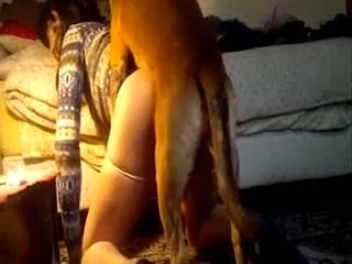 Dog fucks girl compilation - animal porn free porn video xxx