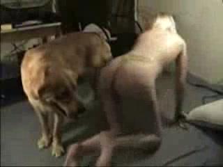 WARNING: This Bad Dog Video Will Make You Squirm!