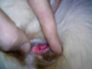 Dude Fingering a Dog's Tight Anus: Is This Even Possible?