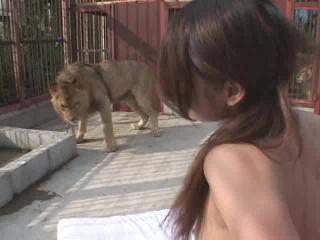 Unlock the WildestXXX Zoo Experience with Free Animal Videos!