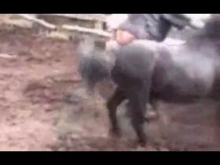 Unbelievable! Old Fat Slut Wife Gets Laid by Her Horse on Zoo Porn Dog Sex!