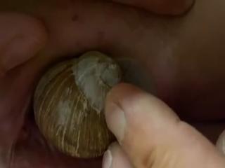 Watch and download free pornographic videos of snails performing sex acts at the Zoophilia zoo.