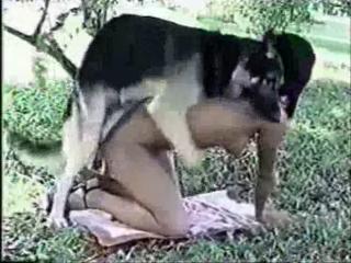 Dog attacks attractive female with a well-used pussy in zoo porn and zoophilia