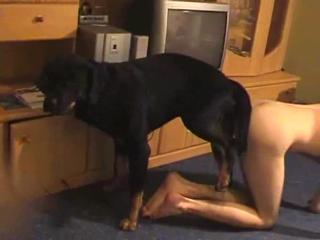 Zoo Porn Dog Sex, Zoophilia: Cute French woman is having sex with her black dog in the living room.